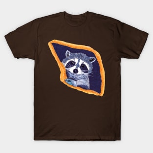 Peekaboo Raccoons Collection #2 T-Shirt